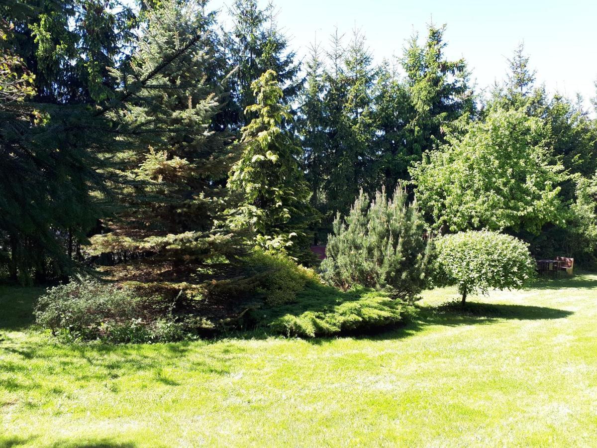Agroturystyka Druzno แอลบลอง ภายนอก รูปภาพ