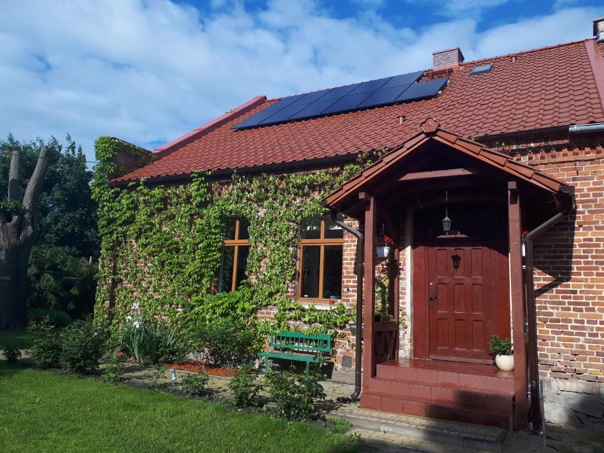 Agroturystyka Druzno แอลบลอง ภายนอก รูปภาพ