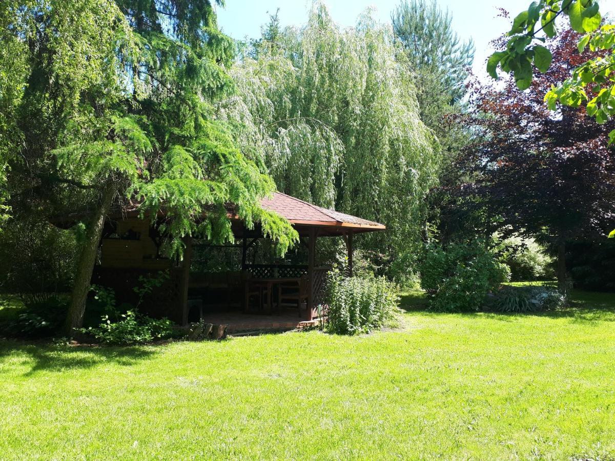 Agroturystyka Druzno แอลบลอง ภายนอก รูปภาพ